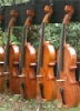 Blue Ridge National Heritage Area Musicians