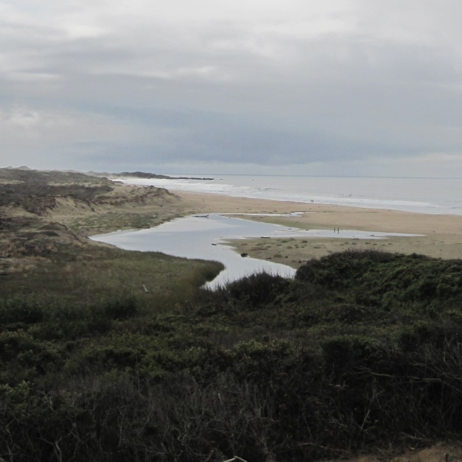 CA Trip Friday - Ocean